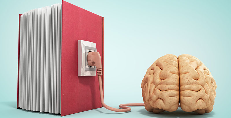 How Does Education Prepare Students For Independent Living?